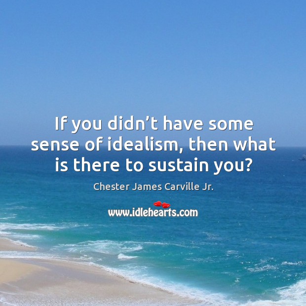If you didn’t have some sense of idealism, then what is there to sustain you? Chester James Carville Jr. Picture Quote