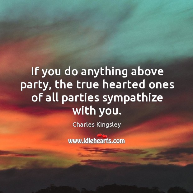 If you do anything above party, the true hearted ones of all parties sympathize with you. Charles Kingsley Picture Quote