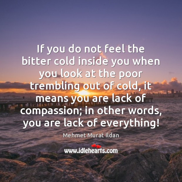 If you do not feel the bitter cold inside you when you Mehmet Murat Ildan Picture Quote
