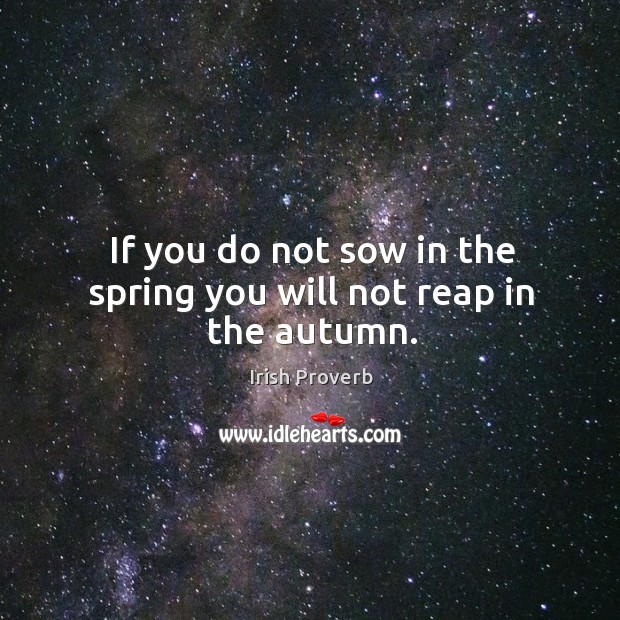 If you do not sow in the spring you will not reap in the autumn. Irish Proverbs Image