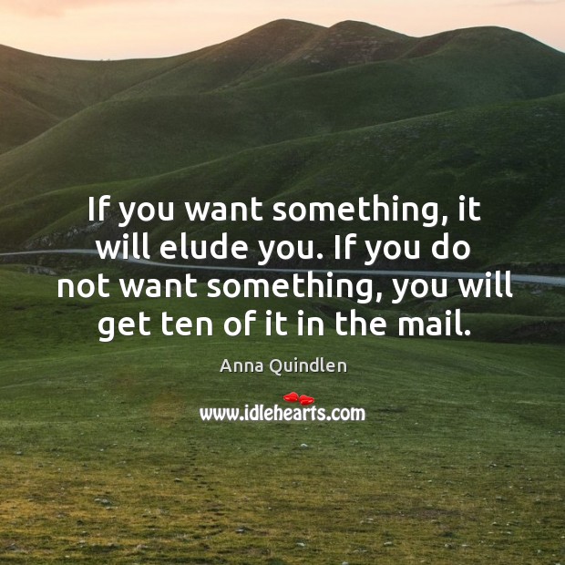 If you do not want something, you will get ten of it in the mail. Anna Quindlen Picture Quote