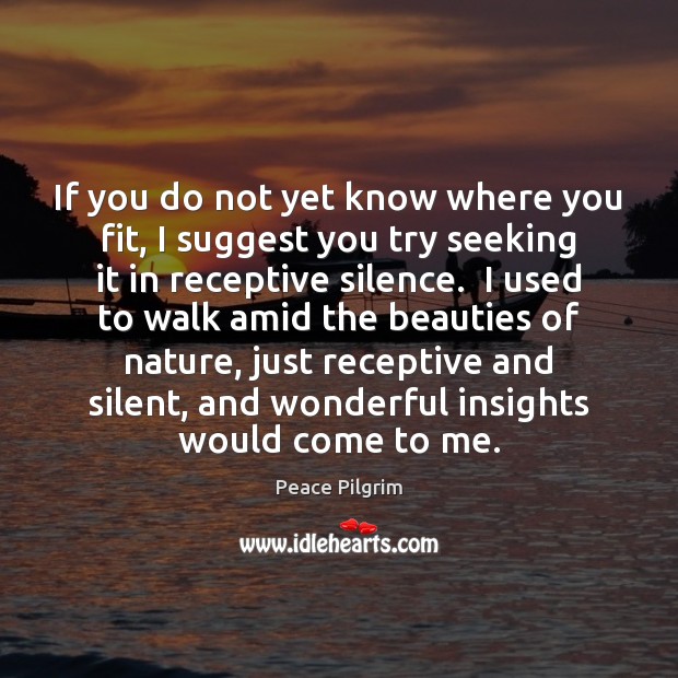 If you do not yet know where you fit, I suggest you Peace Pilgrim Picture Quote
