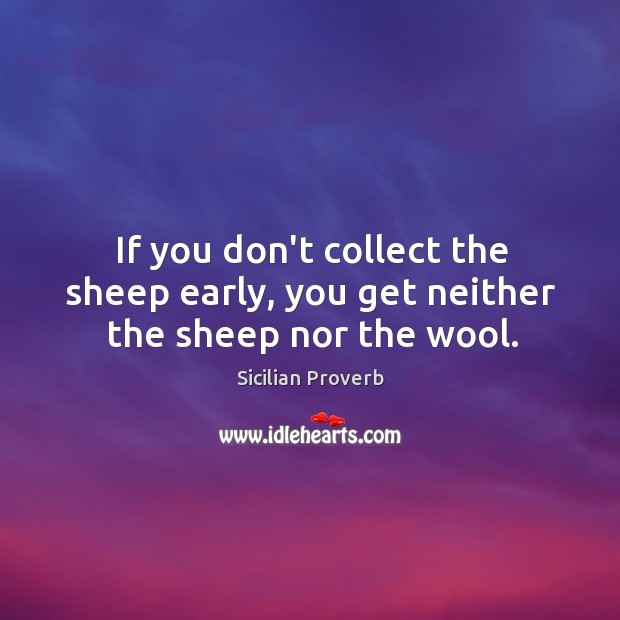 If you don’t collect the sheep early, you get neither the sheep nor the wool. Sicilian Proverbs Image