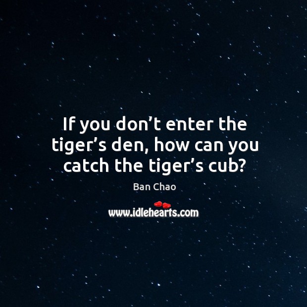 If you don’t enter the tiger’s den, how can you catch the tiger’s cub? Image