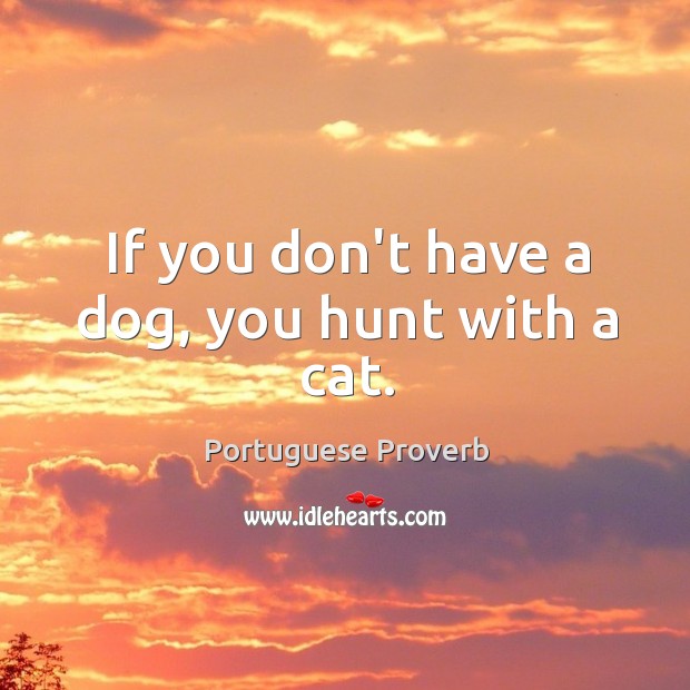 If you don’t have a dog, you hunt with a cat. Image