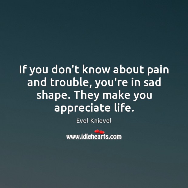 If you don’t know about pain and trouble, you’re in sad shape. Evel Knievel Picture Quote