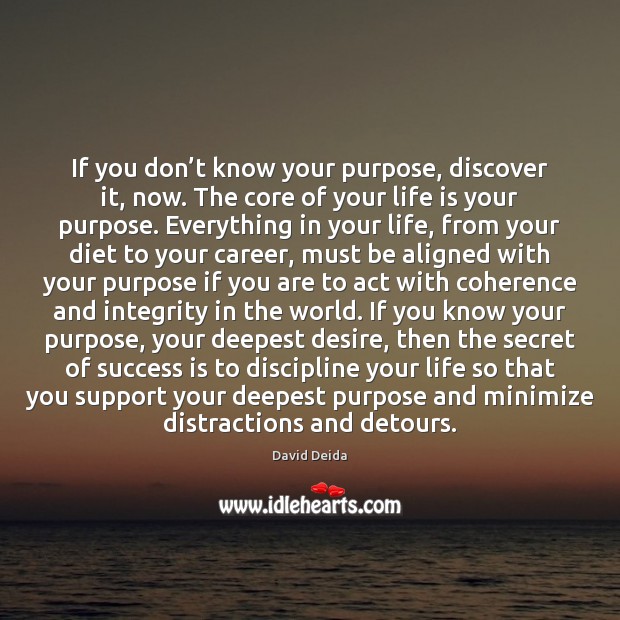 If you don’t know your purpose, discover it, now. The core David Deida Picture Quote