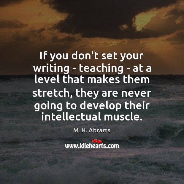 If you don’t set your writing – teaching – at a level M. H. Abrams Picture Quote