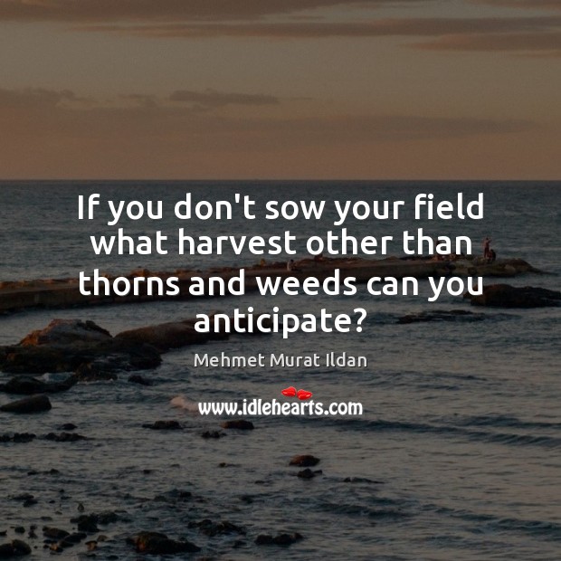 If you don’t sow your field what harvest other than thorns and weeds can you anticipate? Mehmet Murat Ildan Picture Quote