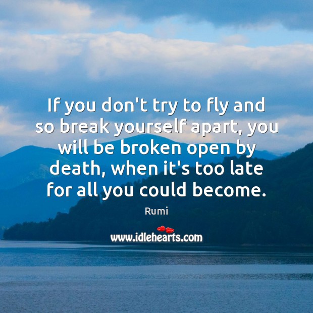 If you don’t try to fly and so break yourself apart, you Rumi Picture Quote