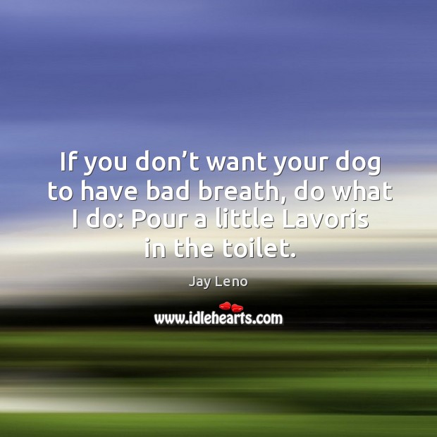 If you don’t want your dog to have bad breath, do what I do: pour a little lavoris in the toilet. Image