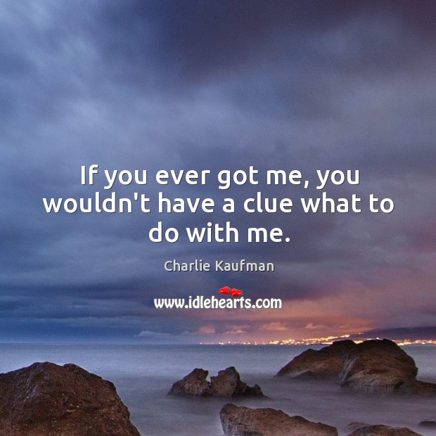 If you ever got me, you wouldn’t have a clue what to do with me. Charlie Kaufman Picture Quote