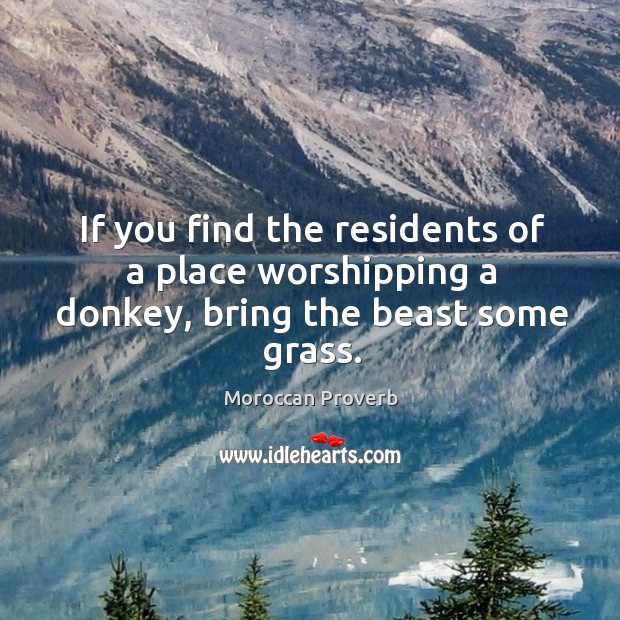 If you find the residents of a place worshipping a donkey, bring the beast some grass. Moroccan Proverbs Image