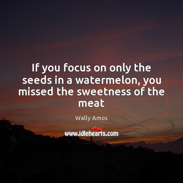 If you focus on only the seeds in a watermelon, you missed the sweetness of the meat Wally Amos Picture Quote