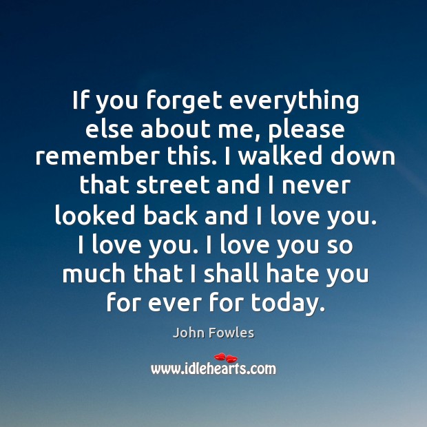 If you forget everything else about me, please remember this. I walked Love You So Much Quotes Image