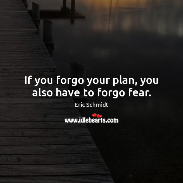 If you forgo your plan, you also have to forgo fear. Eric Schmidt Picture Quote