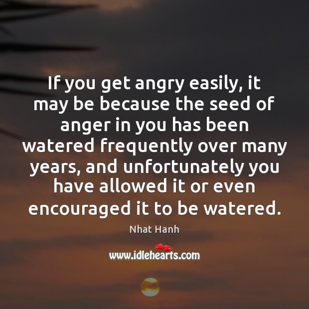 If you get angry easily, it may be because the seed of Nhat Hanh Picture Quote