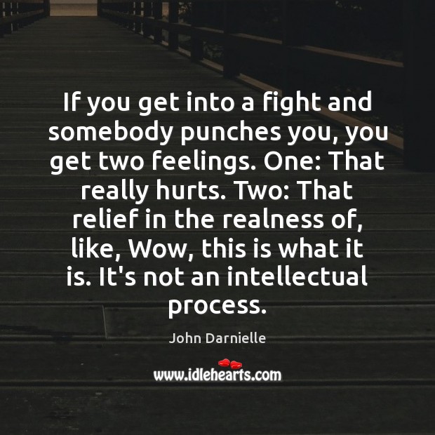 If you get into a fight and somebody punches you, you get John Darnielle Picture Quote