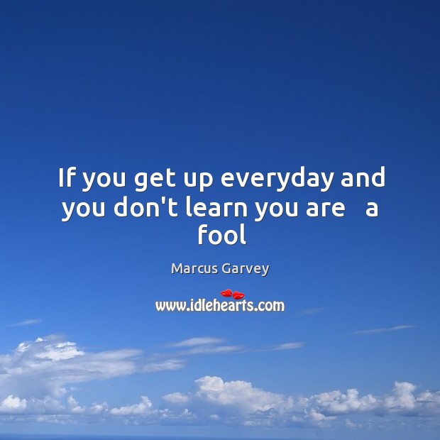 If you get up everyday and you don’t learn you are   a fool Marcus Garvey Picture Quote