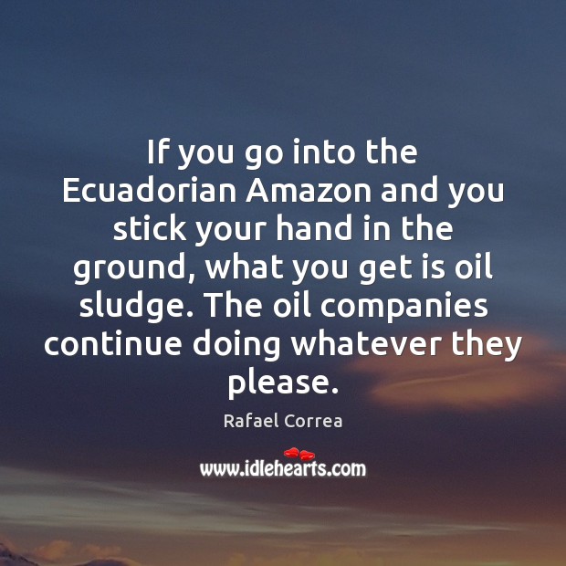 If you go into the Ecuadorian Amazon and you stick your hand Image