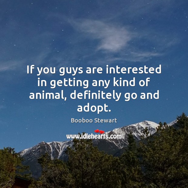 If you guys are interested in getting any kind of animal, definitely go and adopt. Booboo Stewart Picture Quote