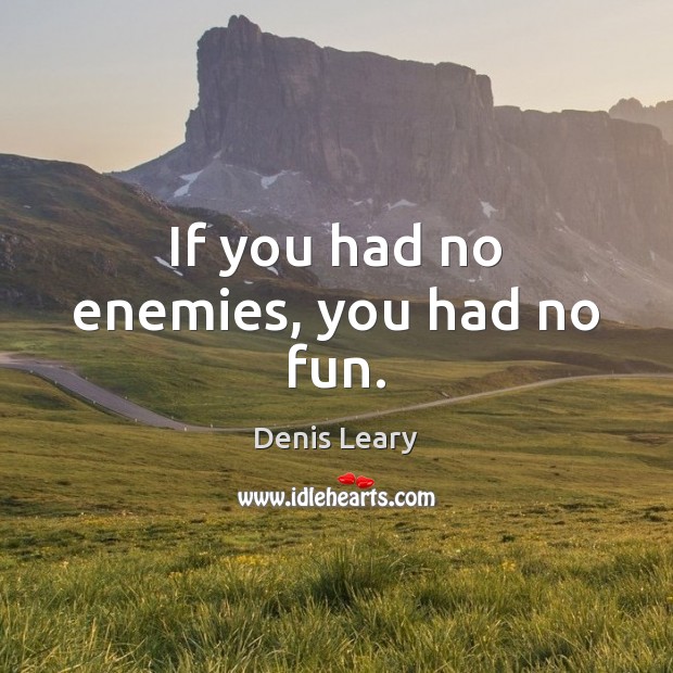 If you had no enemies, you had no fun. Denis Leary Picture Quote