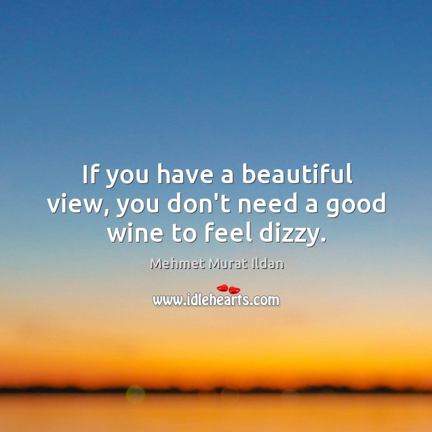 If you have a beautiful view, you don’t need a good wine to feel dizzy. Mehmet Murat Ildan Picture Quote