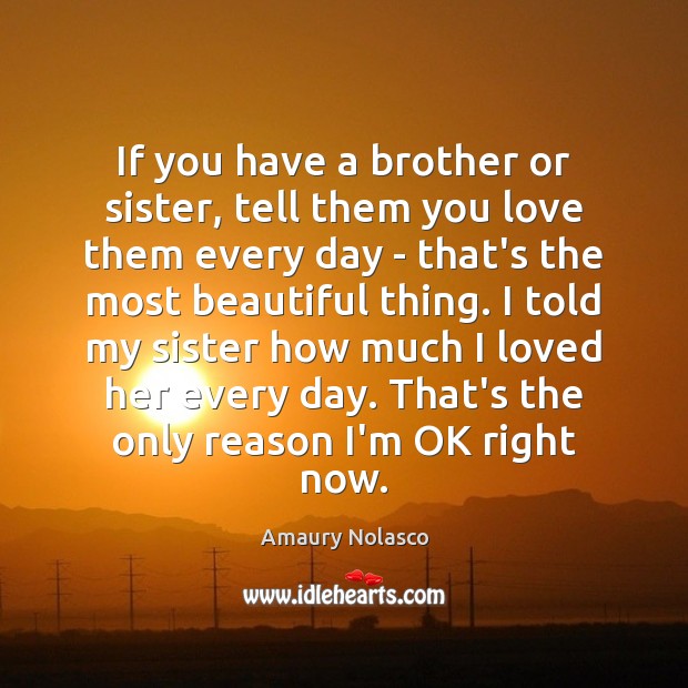If you have a brother or sister, tell them you love them Amaury Nolasco Picture Quote