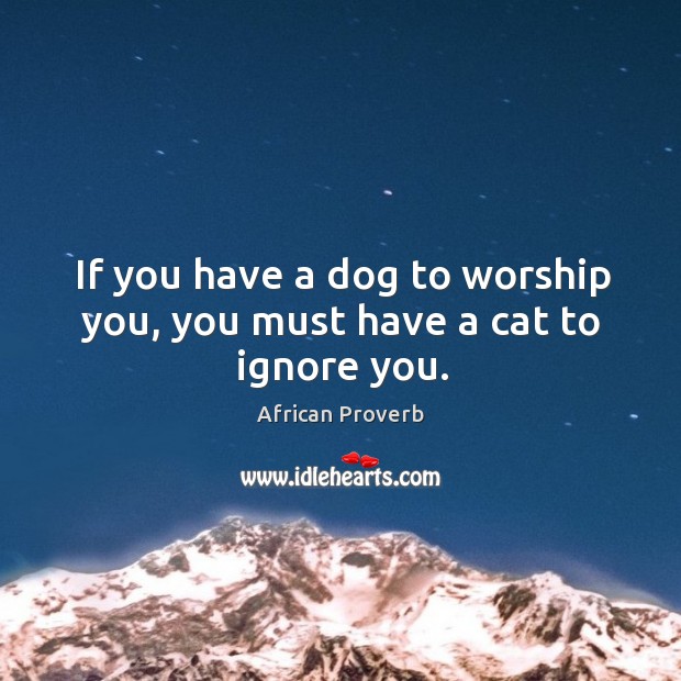 If you have a dog to worship you, you must have a cat to ignore you. Image