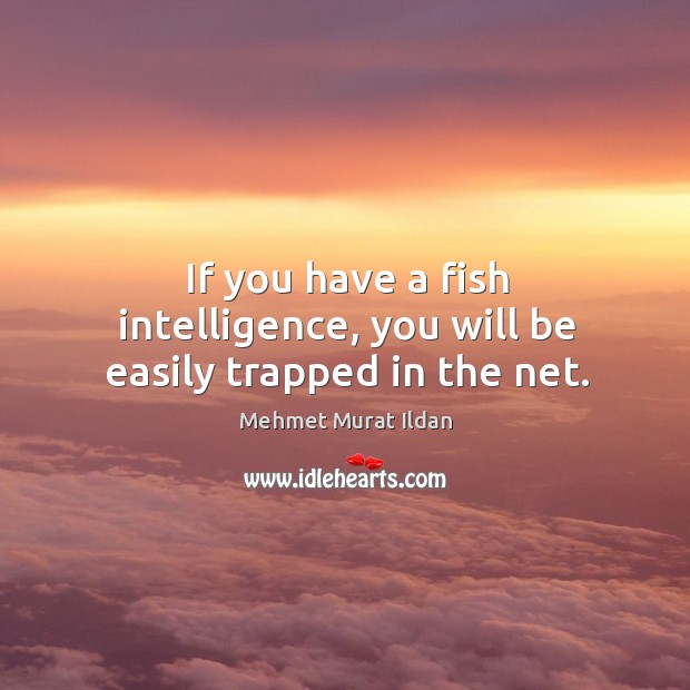 If you have a fish intelligence, you will be easily trapped in the net. Image