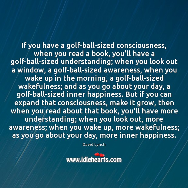 If you have a golf-ball-sized consciousness, when you read a book, you’ll David Lynch Picture Quote
