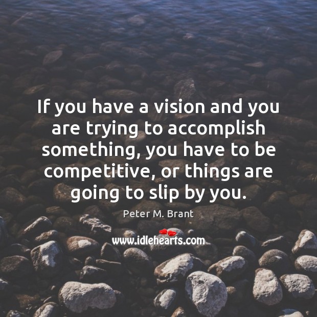 If you have a vision and you are trying to accomplish something, Peter M. Brant Picture Quote
