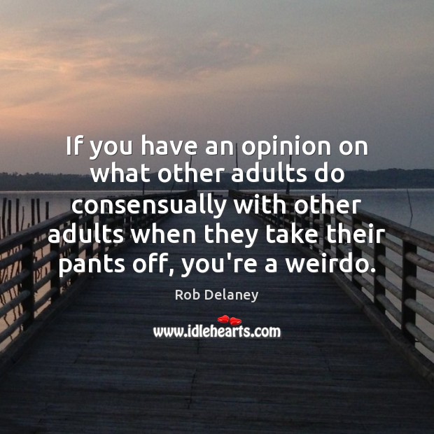 If you have an opinion on what other adults do consensually with Rob Delaney Picture Quote