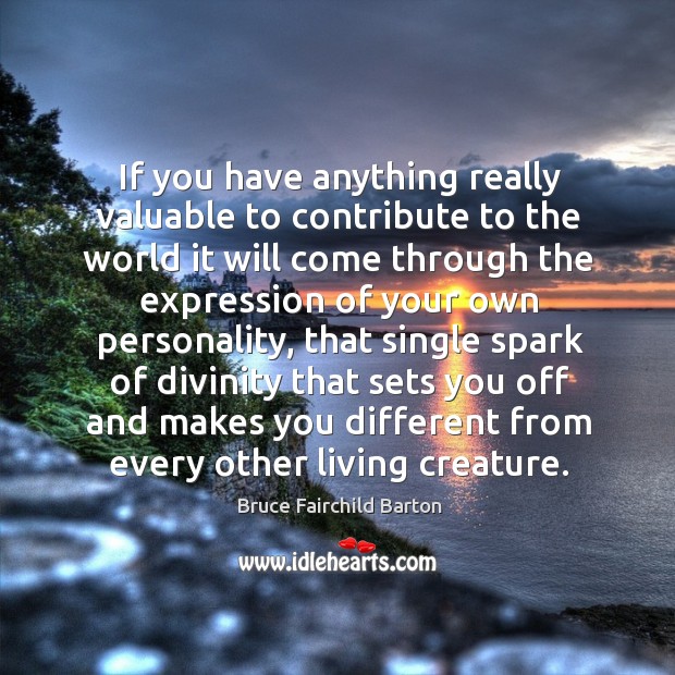 If you have anything really valuable to contribute to the world it will come through the Image