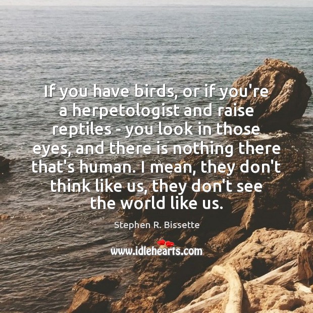 If you have birds, or if you’re a herpetologist and raise reptiles Stephen R. Bissette Picture Quote