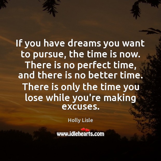 If you have dreams you want to pursue, the time is now. Holly Lisle Picture Quote