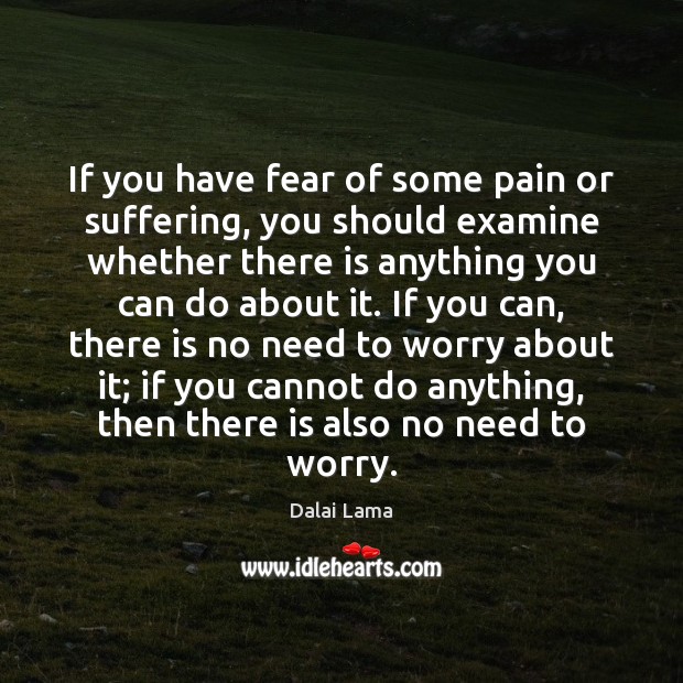 If you have fear of some pain or suffering, you should examine Dalai Lama Picture Quote