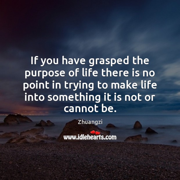 If you have grasped the purpose of life there is no point Zhuangzi Picture Quote