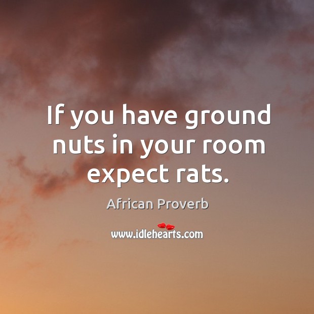 If you have ground nuts in your room expect rats. Image