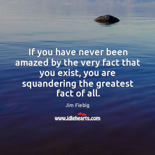 If you have never been amazed by the very fact that you exist, you are squandering the greatest fact of all. Image