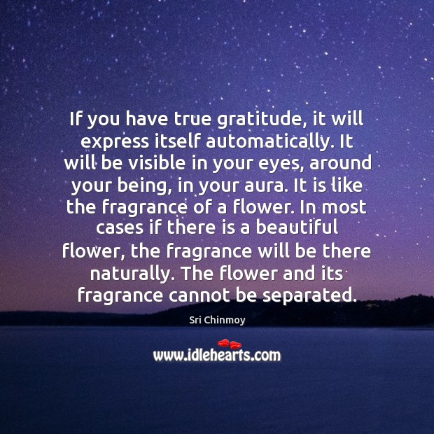 If you have true gratitude, it will express itself automatically. It will Sri Chinmoy Picture Quote