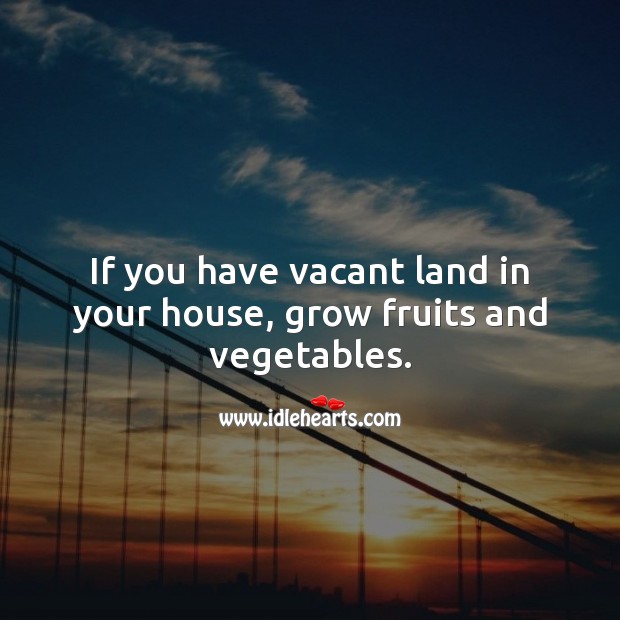 If you have vacant land in your house, grow fruits and vegetables. Farm Quotes Image