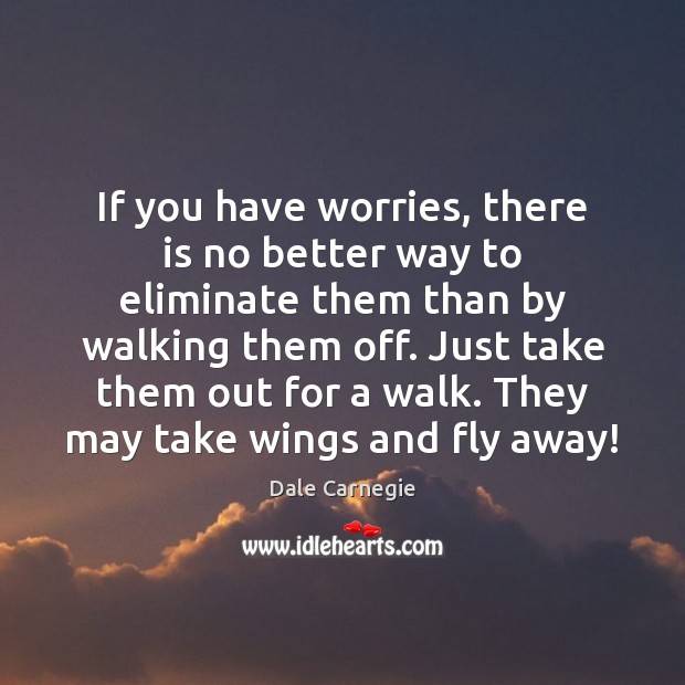If you have worries, there is no better way to eliminate them Dale Carnegie Picture Quote