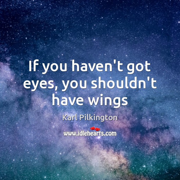 If you haven’t got eyes, you shouldn’t have wings Karl Pilkington Picture Quote