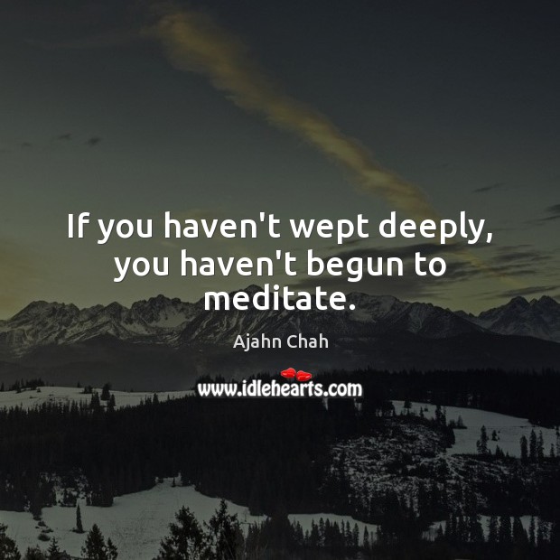 If you haven’t wept deeply, you haven’t begun to meditate. 