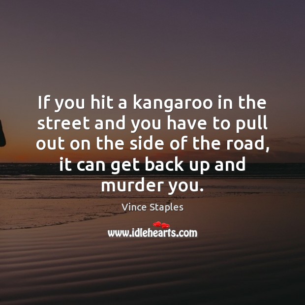 If you hit a kangaroo in the street and you have to Image
