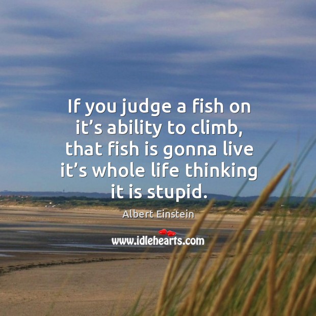 If you judge a fish on it’s ability to climb, that fish is gonna live it’s whole life thinking it is stupid. Image
