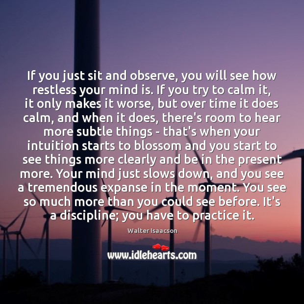 If you just sit and observe, you will see how restless your Walter Isaacson Picture Quote