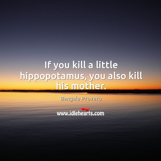 If you kill a little hippopotamus, you also kill his mother. Bangala Proverbs Image
