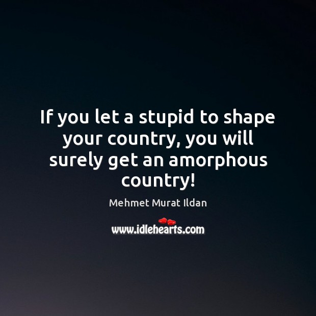 If you let a stupid to shape your country, you will surely get an amorphous country! Mehmet Murat Ildan Picture Quote